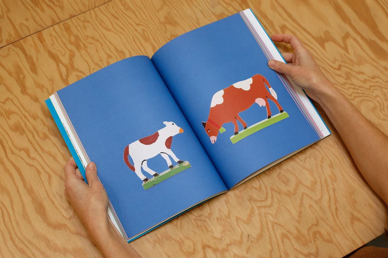 Exposition « Pochette surprise » • Clémence Passot « Alpin chez lui » • Éditions La Mousse